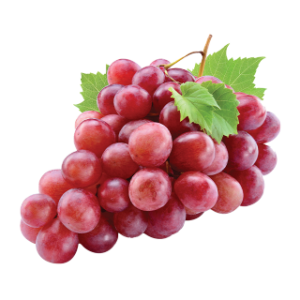 Fresh Egyptian Grapes