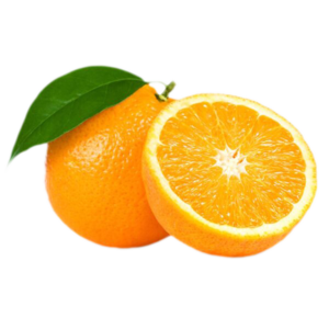 Fresh Egyptian Valencia Oranges