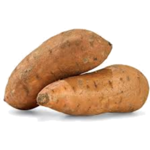 Fresh Egyptian Sweet Potatoes